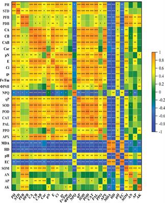 Different leafy vegetable cropping systems regulate growth, photosynthesis, and PSII functioning in mono-cropped eggplant by altering chemical properties and upregulating the antioxidant system